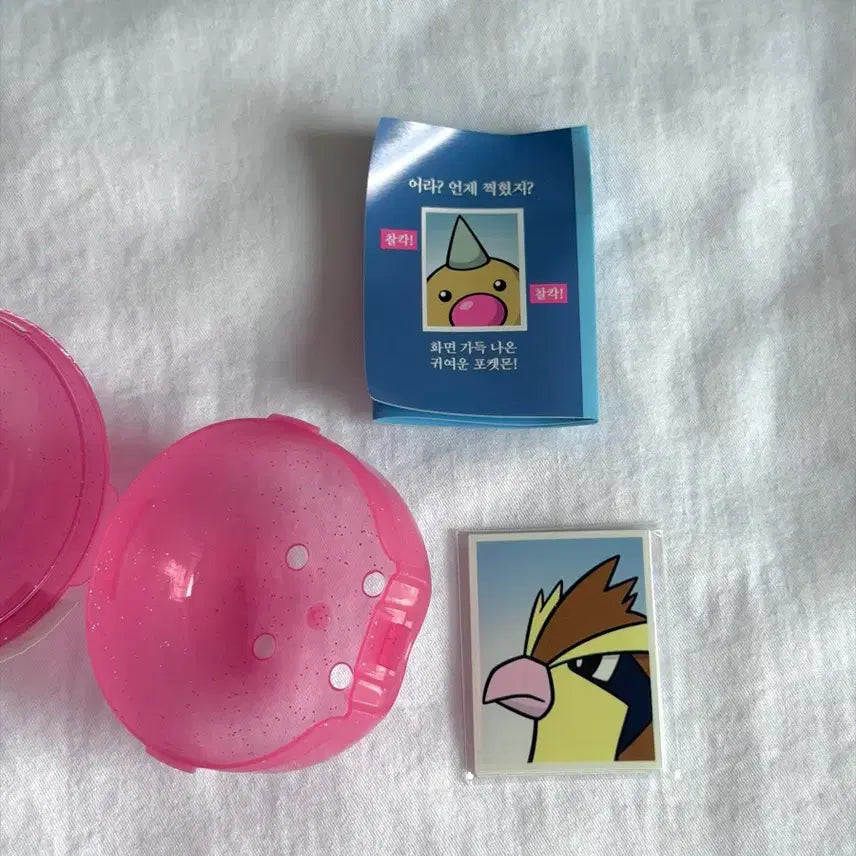 [BUNJANG] Pokemon Proof Photo - Pidgey, Paras, Diglett, Vulpix, Flareon / 포켓몬 증명사진 구구 파라스 데구리 시라소몬 부스터