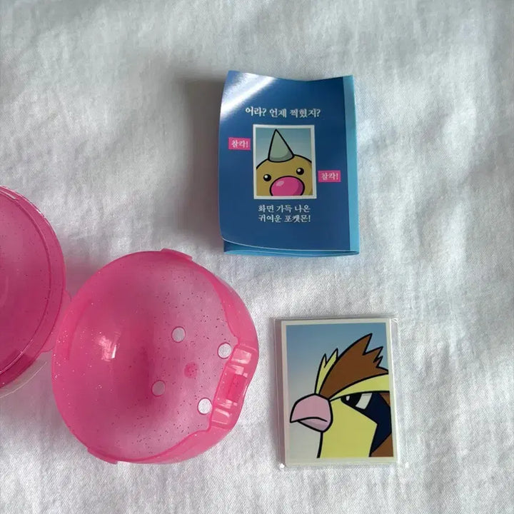 [BUNJANG] Pokemon Proof Photo - Pidgey, Paras, Diglett, Vulpix, Flareon / 포켓몬 증명사진 구구 파라스 데구리 시라소몬 부스터