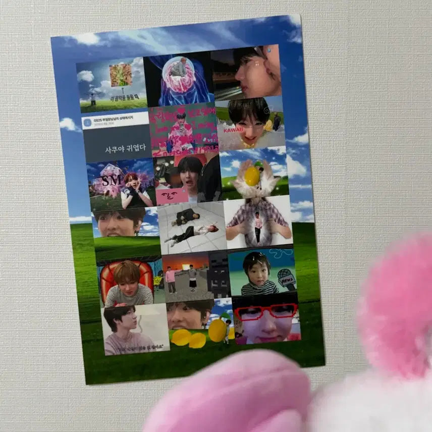 [BUNJANG] NCT WISH Sakuya Meme Sticker Set / 엔시티위시 사쿠야 밈스티커 판매