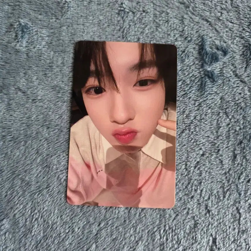[BUNJANG] NCT WISH Sakuya Photocard / 엔시티위시 사쿠야 포토카드 양도