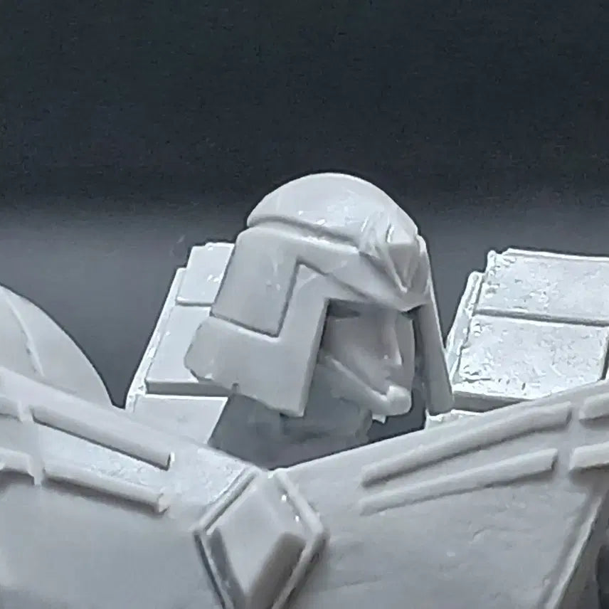 [BUNJANG] Thunder V Limited Edition 3D Printed Resin Kit / [20체 한정판] 썬더V 3D 프린팅 레진킷