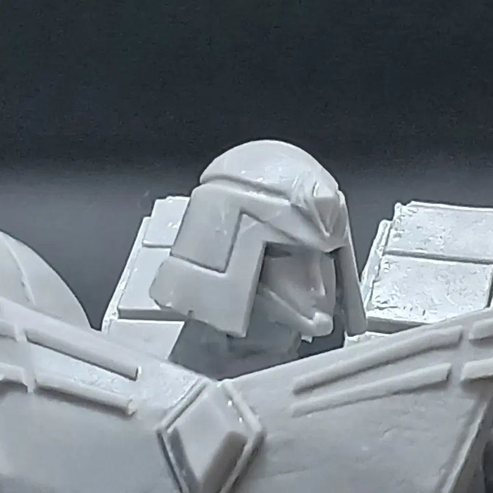[BUNJANG] Thunder V Limited Edition 3D Printed Resin Kit / [20체 한정판] 썬더V 3D 프린팅 레진킷