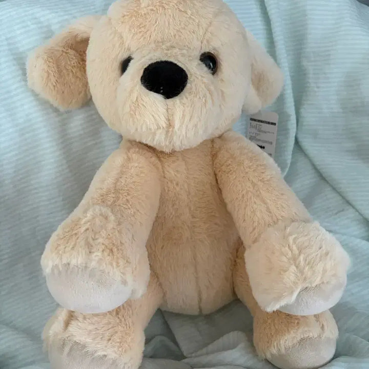 [BUNJANG] Kubo Golden Retriever Plush Doll / 쿠보 강아지 봉제인형 골든 리트리버