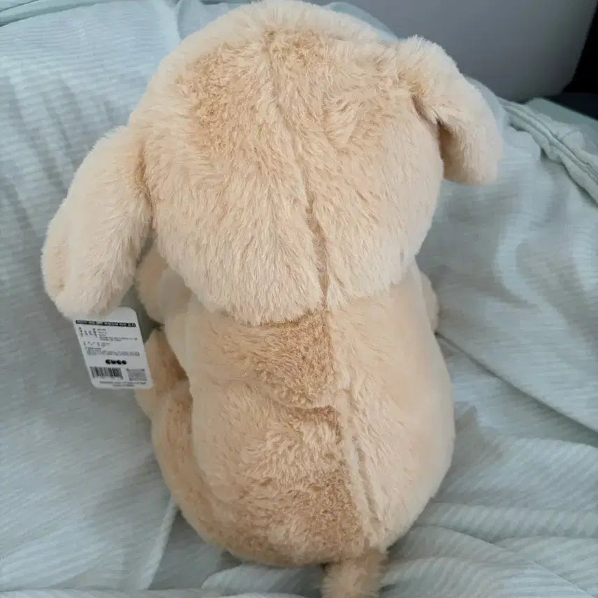[BUNJANG] Kubo Golden Retriever Plush Doll / 쿠보 강아지 봉제인형 골든 리트리버