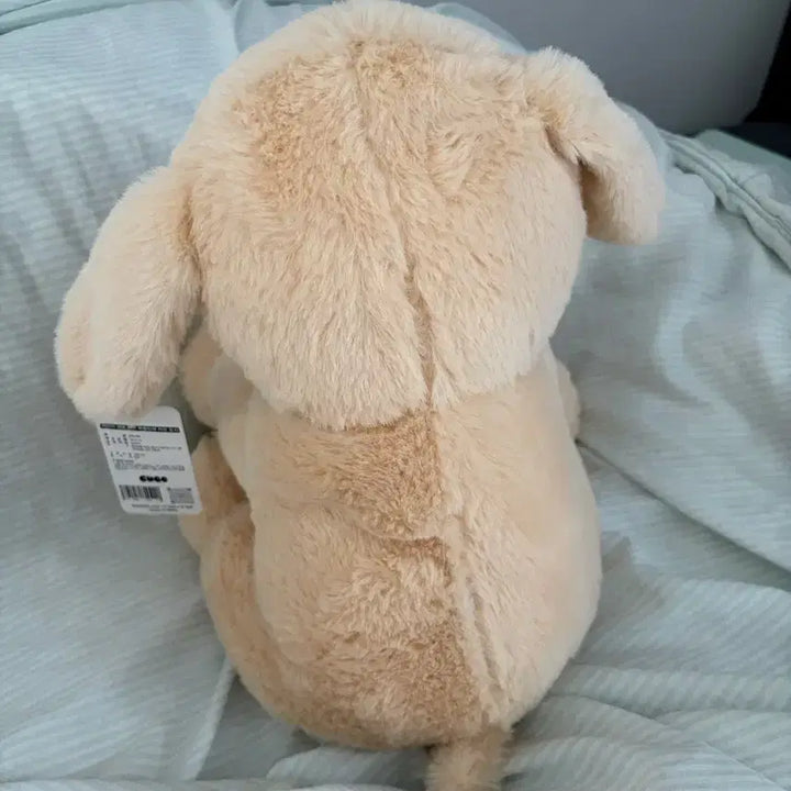 [BUNJANG] Kubo Golden Retriever Plush Doll / 쿠보 강아지 봉제인형 골든 리트리버