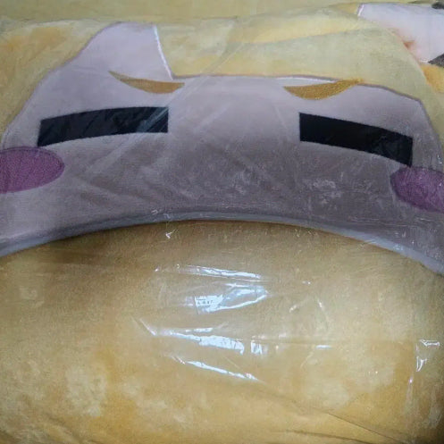 [BUNJANG] JENNIE Gyulbokbok Blanket / 젠존제 귤복복 담요 팝니다.
