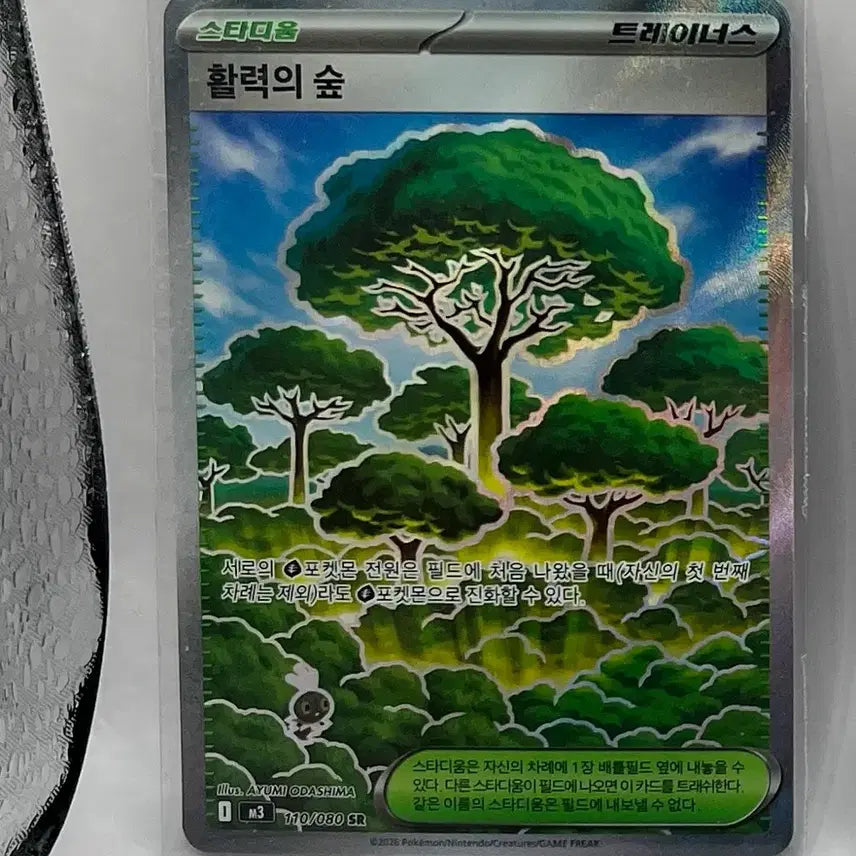 [BUNJANG] Pokemon Card Bundle Set / 포켓몬카드 일괄