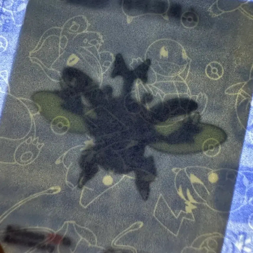 [BUNJANG] Pokemon 30th Anniversary Sealed Heracross Sticker / [미개봉 새상품] 포켓몬 30주년 띠부씰 스티커 헤라크로스