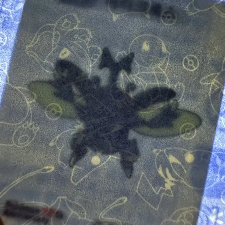 [BUNJANG] Pokemon 30th Anniversary Sealed Heracross Sticker / [미개봉 새상품] 포켓몬 30주년 띠부씰 스티커 헤라크로스