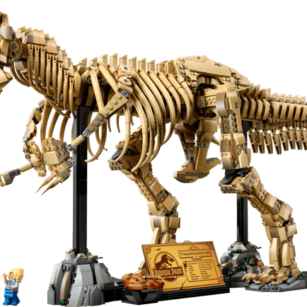 [BUNJANG] LEGO Tyrannosaurus Rex Fossil / 레고 공룡 화석: T-렉스