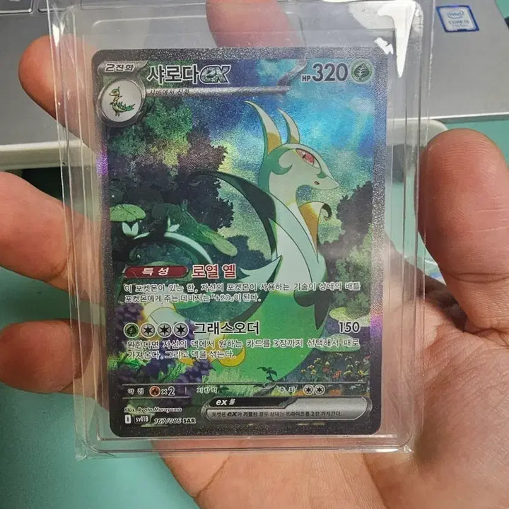 [BUNJANG] Pokemon Card Serperior EX SAR / 포켓몬 카드 샤로다 EX  SAR