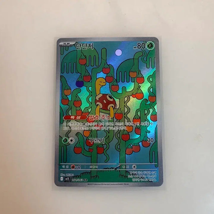 [BUNJANG] Pokemon Card "Turtwig" AR Card / 포켓몬카드 단단지 AR (재고 4장)