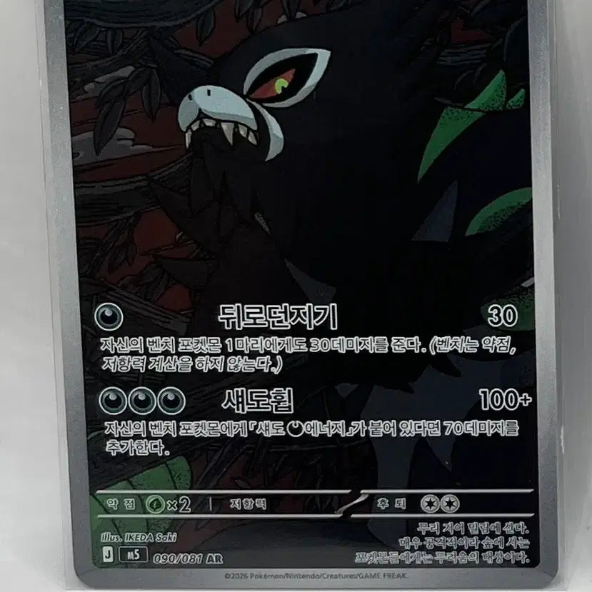 [BUNJANG] Pokemon Card Bundle Set / 포켓몬카드 일괄