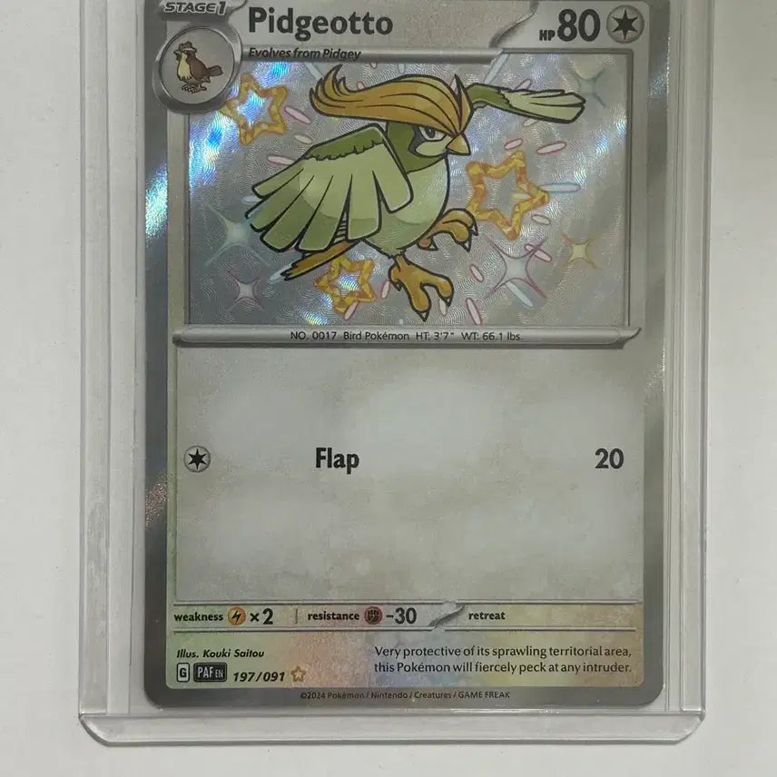 [BUNJANG] Pidgeot Shiny Paldean Regional 197/091 Pokemon Card / 피죤 이로치 북미 팔데안 197/091 포켓몬 카드 Paldean