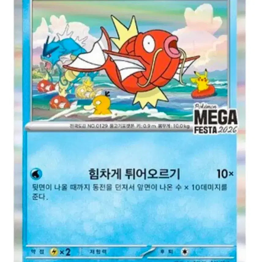 [BUNJANG] Pokemon Magikarp Promo Card Bundle (2 Cards) / 잠실 포켓몬 잉어킹 프로모 카드 2장 일괄