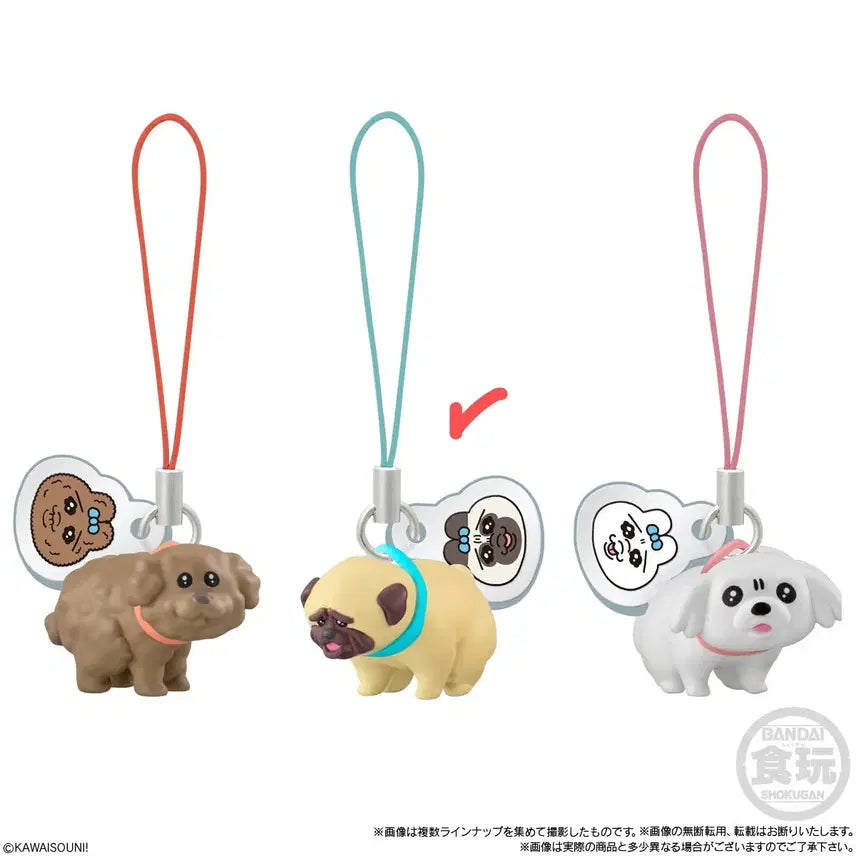 [BUNJANG] Pantsu Usagi x Wanokoro Collaboration Plush Toy / 일본 정품 8월 신상) 빤쮸토끼 오판츄우사기 x 완코로 콜라보 (새상품)