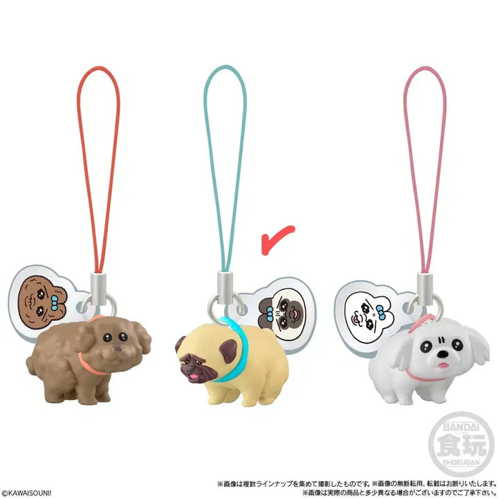 [BUNJANG] Pantsu Usagi x Wanokoro Collaboration Plush Toy / 일본 정품 8월 신상) 빤쮸토끼 오판츄우사기 x 완코로 콜라보 (새상품)