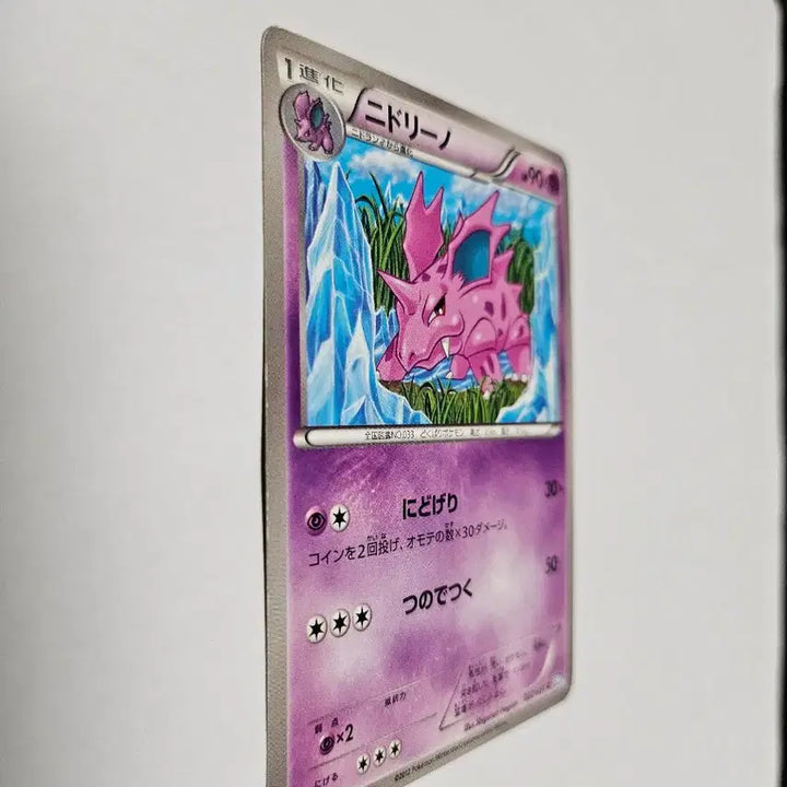 [BUNJANG] Pokemon Nidoreno 1st Edition Japanese BW8 Raiden Knuckle Card / 1EDITION 포켓몬 카드 니드리노 일본판 카드 판매합니다.