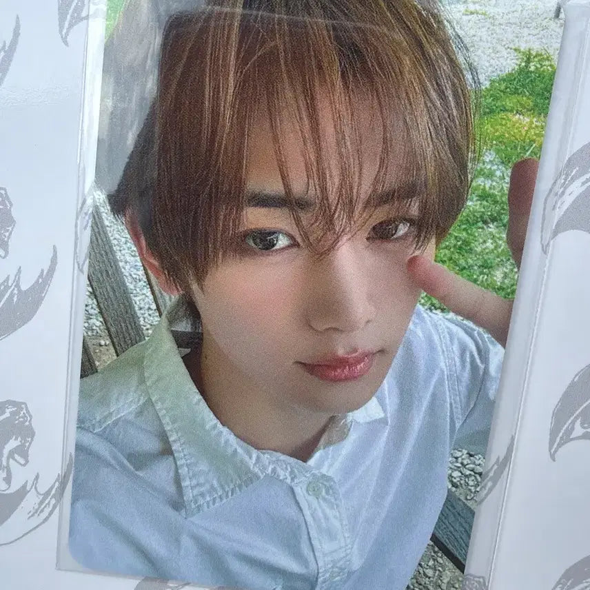 [BUNJANG] Aldi One Popup Virtual Fan Sign Photocard / 알디원 팝업 영통팬싸 포카 안신
