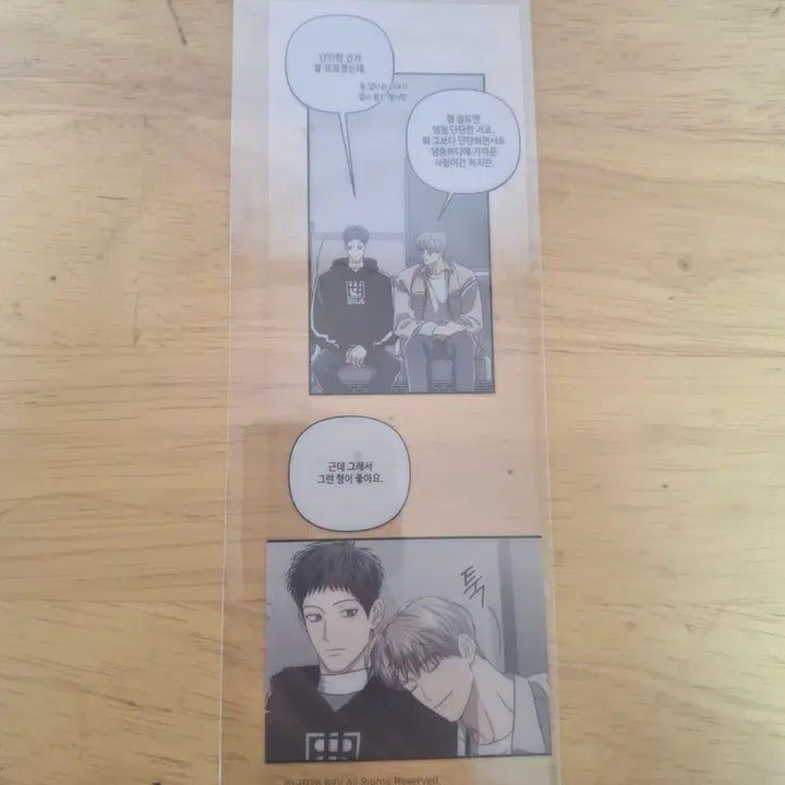 [BUNJANG] Fantasy Tree Beyond Transparent Bookmark / 공사구 공과 사는 구분해 판타지트 비욘드 특전 투명 책갈피