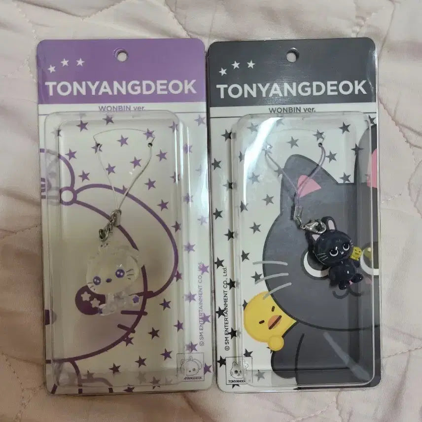 [BUNJANG] Tonnyduck Wonbin Resin Keychain Set / 토냥덕 원빈 레진 키링 2종