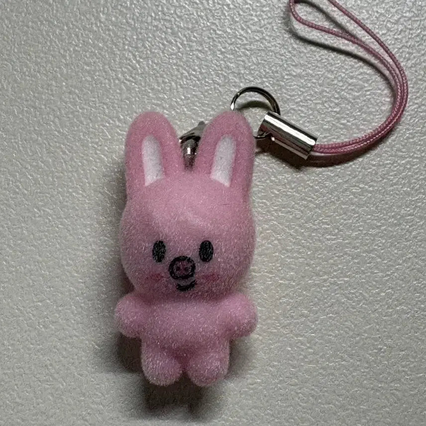 [BUNJANG] Stray Kids Skzoo Mini Charm DaeKki / 스키즈 스키주 미니참 돼끼 원가양도/교환