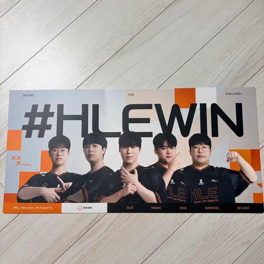 [BUNJANG] Hanwha Life Esports Official Cheering Pom-poms / 한화생명 이스포츠 공식 치어풀