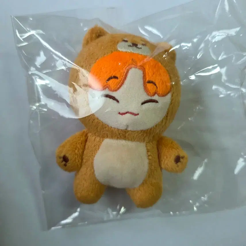 [BUNJANG] ONEUS Seoho Plush Doll / 원어스 서호 비공굿 인형