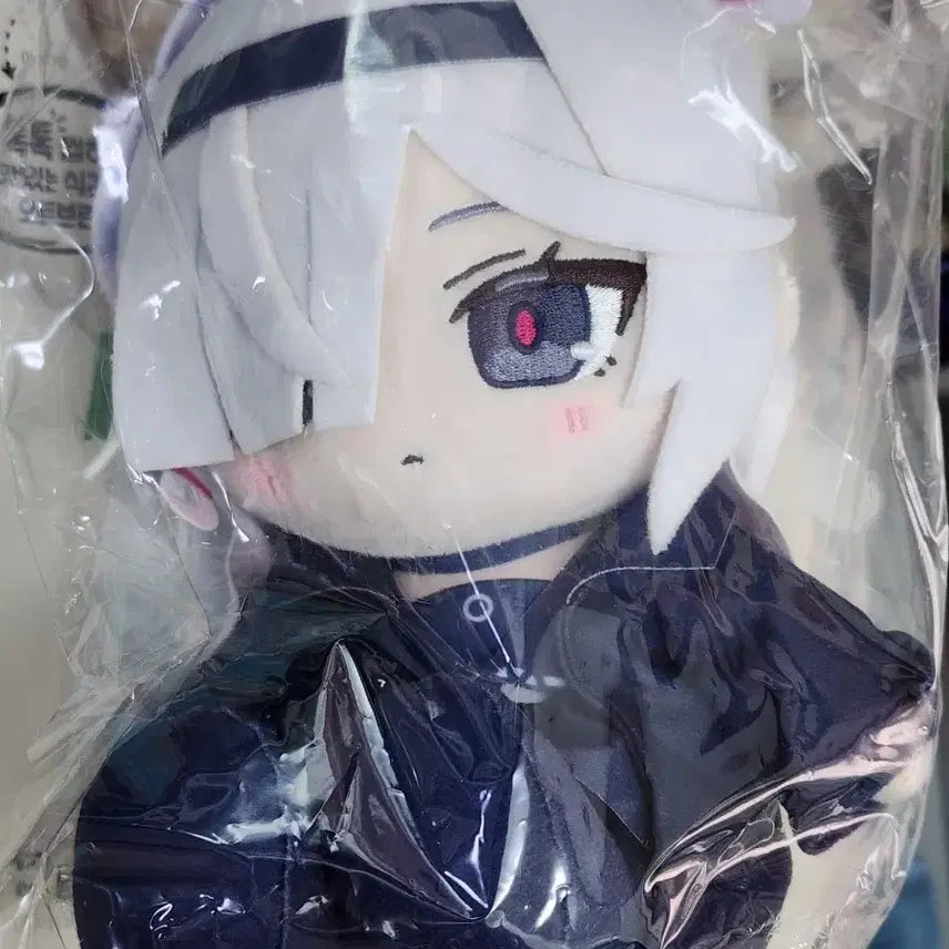 [BUNJANG] Blue Archive Prana Chocooni Plush (Sealed) / 미개봉) 블루아카이브 프라나 초코푸니 쵸코푸니 인형 판매