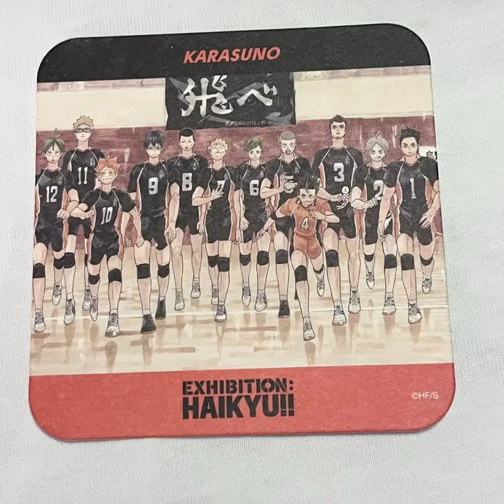 [BUNJANG] Haikyuu!! Badge &amp; Paper Merch Bundle Set / [일괄 판매] 하이큐 뱃지, 지류