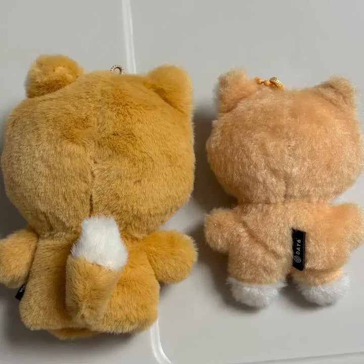 [BUNJANG] DAY6 Young K Bundle Set Finger Pouch / 일괄) 쁘쁘멀 케, 손가락 케