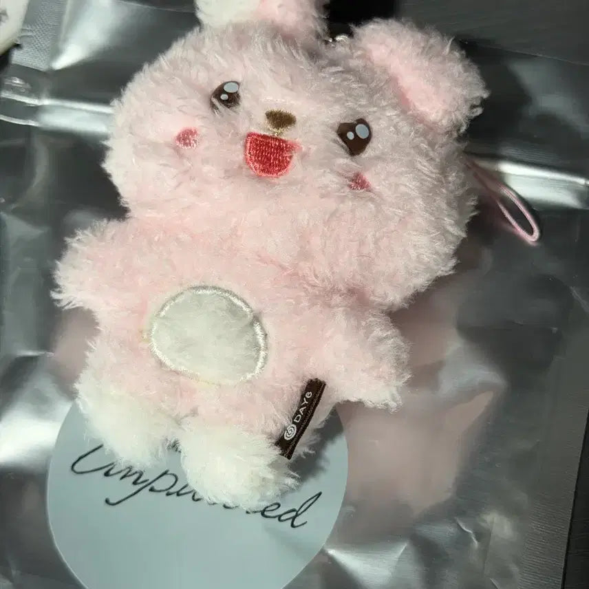 [BUNJANG] DAY6 Wonpil Unfiltered Secret Keyring / 데이식스 day6 원필 언필터드 시크릿키링 초롱필