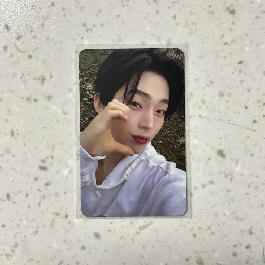 [BUNJANG] ENHYPEN Sunwoo Benish Showcase POB Photocard / 엔하이픈 베니쉬 쇼케이스 특전 역조공 포카 선우