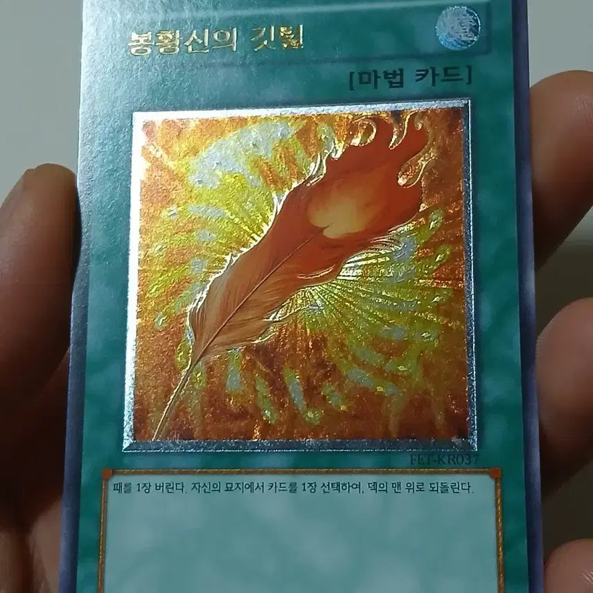 [BUNJANG] Yu-Gi-Oh! Phoenix God&