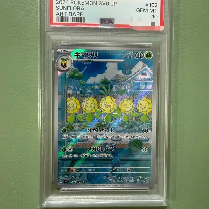 [BUNJANG] Pokemon Card Harumi Japanese PSA 10 / 포켓몬카드 해루미 일판 PSA 10