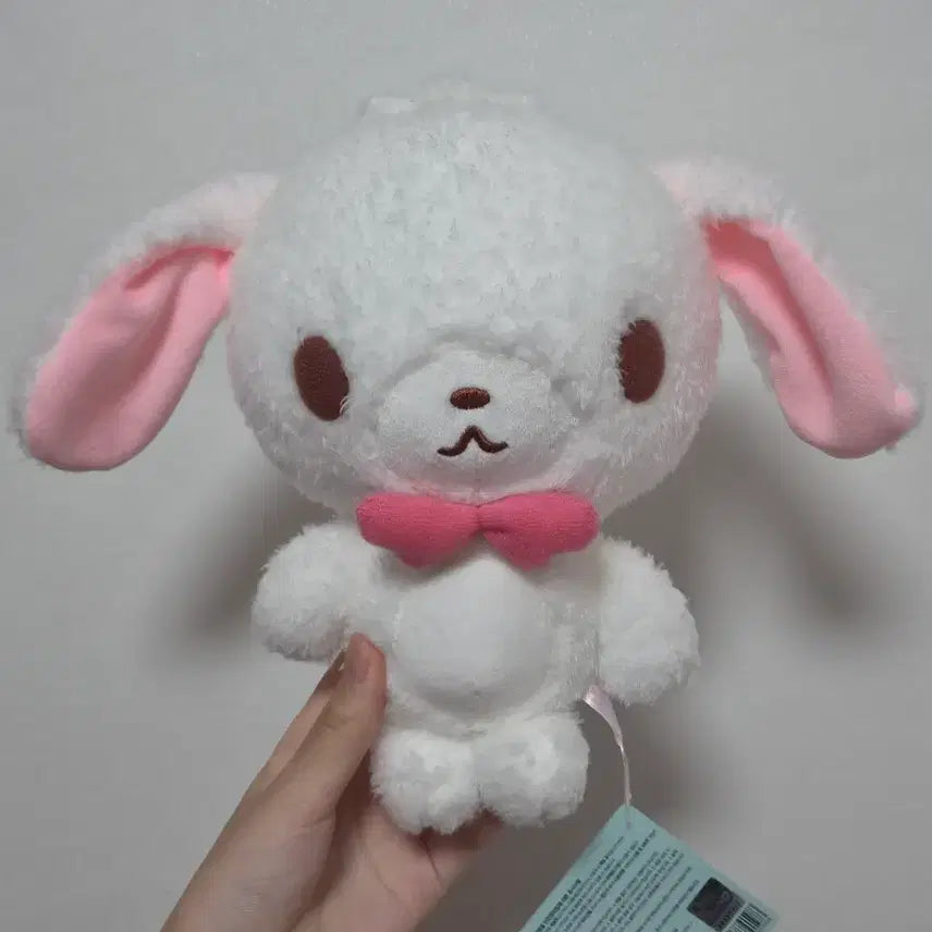 [BUNJANG] Sanrio Sugarbunnies Shirousa Plush / 산리오 슈가바니즈 시로우사 인형