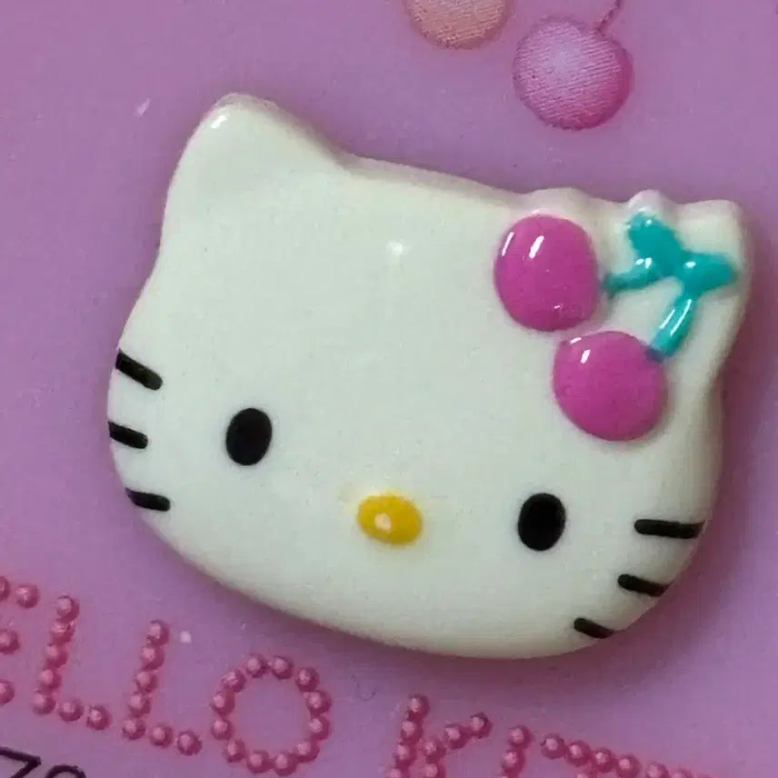 [BUNJANG] Vintage Kitty Mini Split Case / 고전키티미니분할케이스