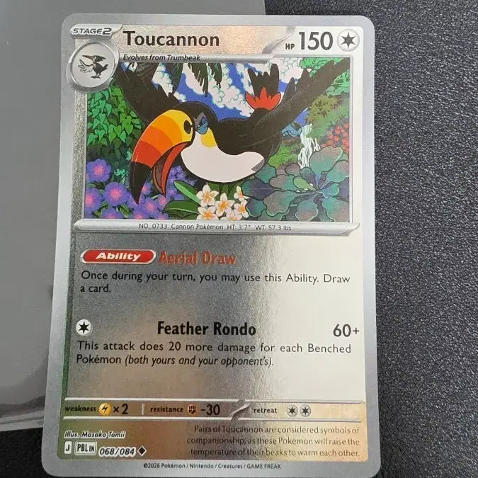 [BUNJANG] Pokemon Card North America Mega Blastoise Mirror Holo / 포켓몬 카드 북미 왕큰부리 미러