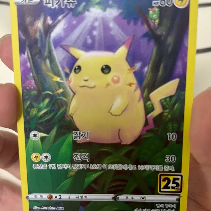 [BUNJANG] Pikachu 25th Anniversary, Blue-Eyes White Dragon, Dark Magician Girl Bundle Set / 25주년 피카츄, 푸른눈의 백룡, 블랙매지션 걸