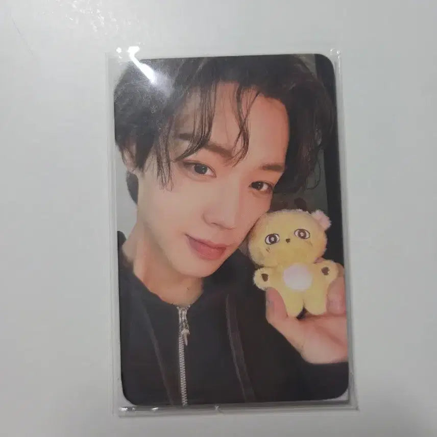 [BUNJANG] Park Ji Hoon So Sim Yi Doll Bundle Set / 소심이(포카 포함),박지훈 명찰 판매