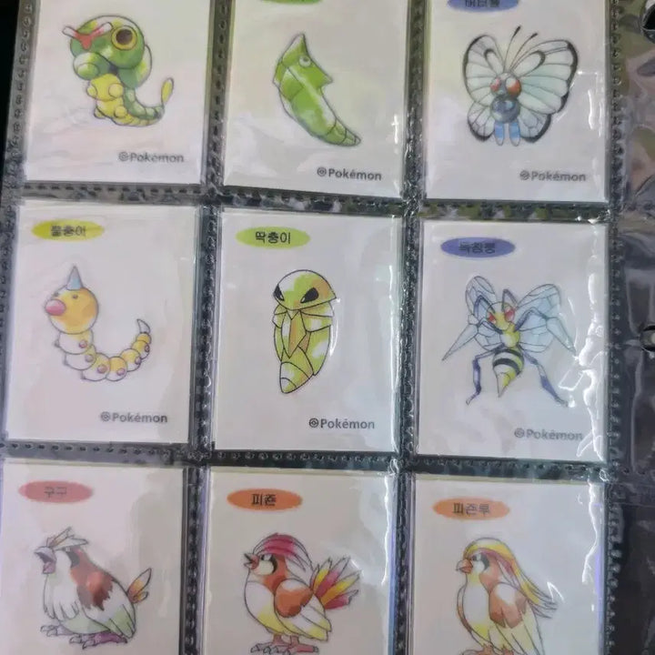 [BUNJANG] Pokemon Stickeroo Artwork 99 Types (Missing Psyduck) / 포켓몬띠부씰 아트웍 쁘사이저빠진 전종