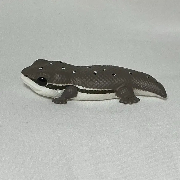 [BUNJANG] Bandai Tenori Friends Tokay Gecko / 반다이 테노리 프렌즈 큰입도마뱀
