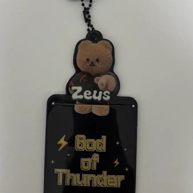 [BUNJANG] Hanwha Zeus x APFF Card Holder Keyring / 한화 제우스 어프어프 콜라보 카드 홀더 키링