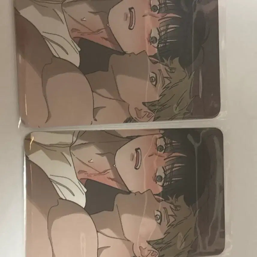 [BUNJANG] Hongsil Quest Photocard / 홍실퀘스트 포카팔아요