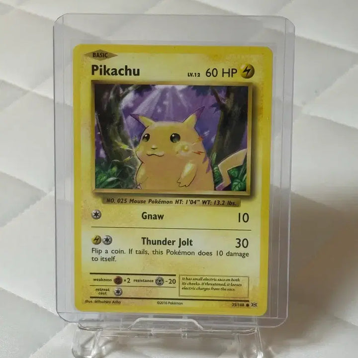 [BUNJANG] Pokemon Pikachu (Fat Pikachu) 2016 North American/English Old Back Card / [북미판/영판] 2016년 피카츄(뚱카츄) 올드백 카드