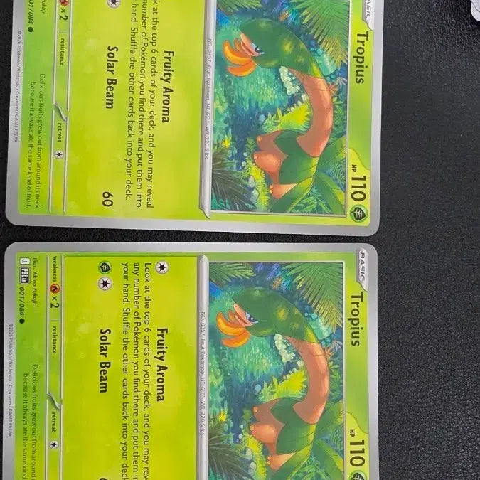 [BUNJANG] Pokemon TCG North America Trophy Card / 포켓몬 카드 북미 트로피우스