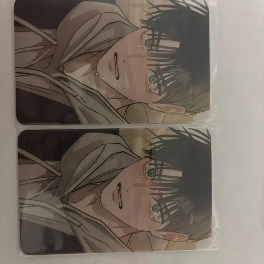 [BUNJANG] Hongsil Quest Photocard / 홍실퀘스트 포카 팔아요