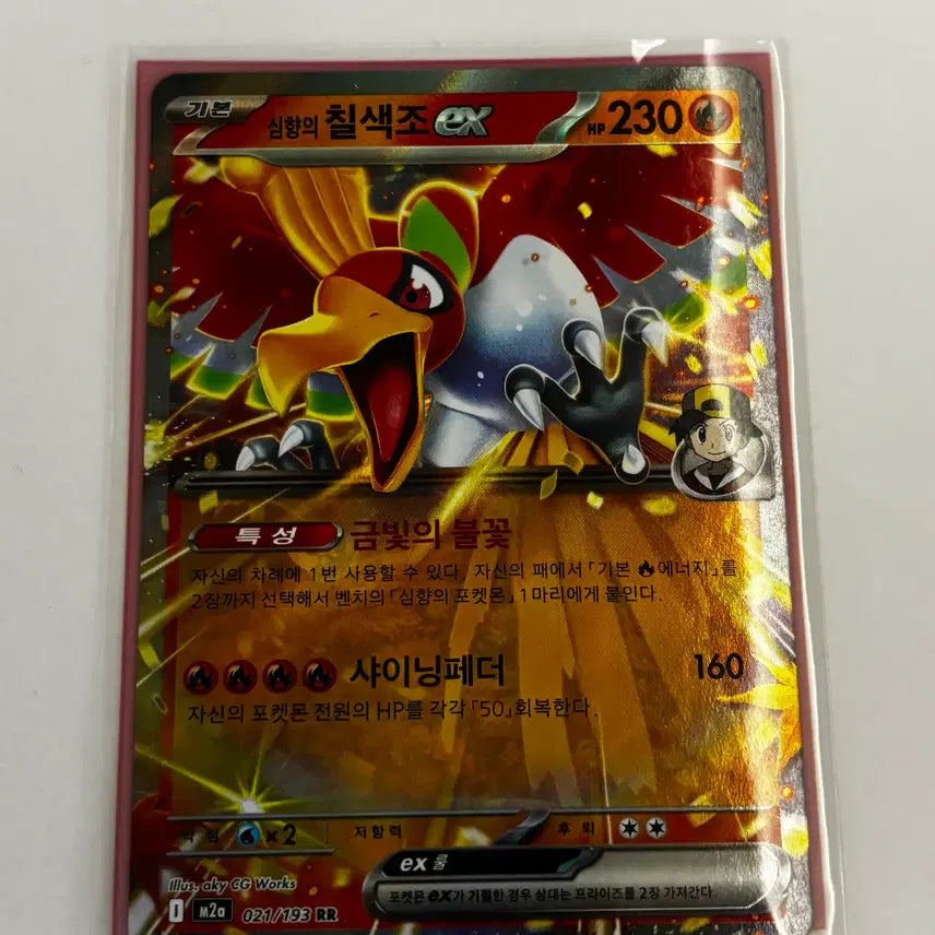 [BUNJANG] Pokemon Korean Edition RR Graded Cards / [포켓몬카드] 한글판 RR등급 판매 (헬가 V, 메가폭타, 심향의 칠색조, 어흥염, 볼케니온, 파라블레이즈, 메가화염레오, 레시라무, 스코빌런, 춤추새, 히트로토무)
