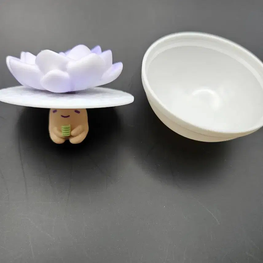 [BUNJANG] Succulent Figurine / 다육이 피규어