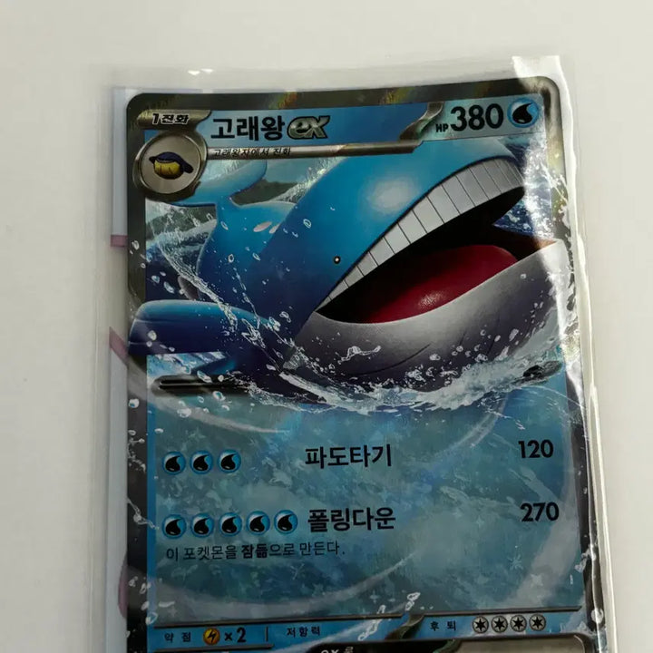 [BUNJANG] Pokemon Cards Korean Edition RR Grade Singles / [포켓몬카드] 한글판 RR등급 판매 (고래왕, 큐레무, 샤미드, 킹드라, 케르디오, 메가아쿠스타, 밀로틱, 메가눈설왕, 메가개굴닌자, 약어리)